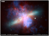 desktops
