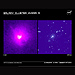 Galaxy Clusters