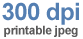 Click for 300 dpi image.