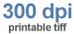 Click to download 300 dpi TIFF.