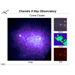Coma Cluster