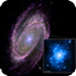 M81