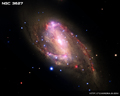 Thumbnail of NGC 3627