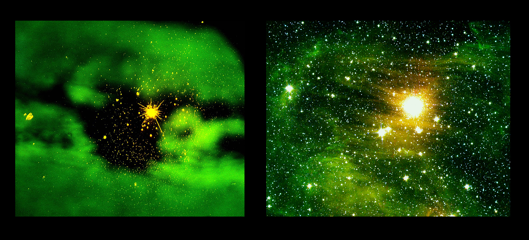 Heart Tissue vs. Heart of a Stellar Nursery