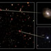 Focus on Black Holes in the Chandra Deep Field North