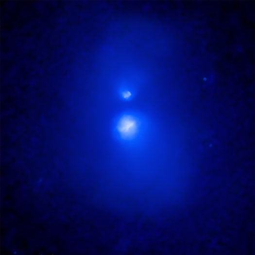NGC 6338