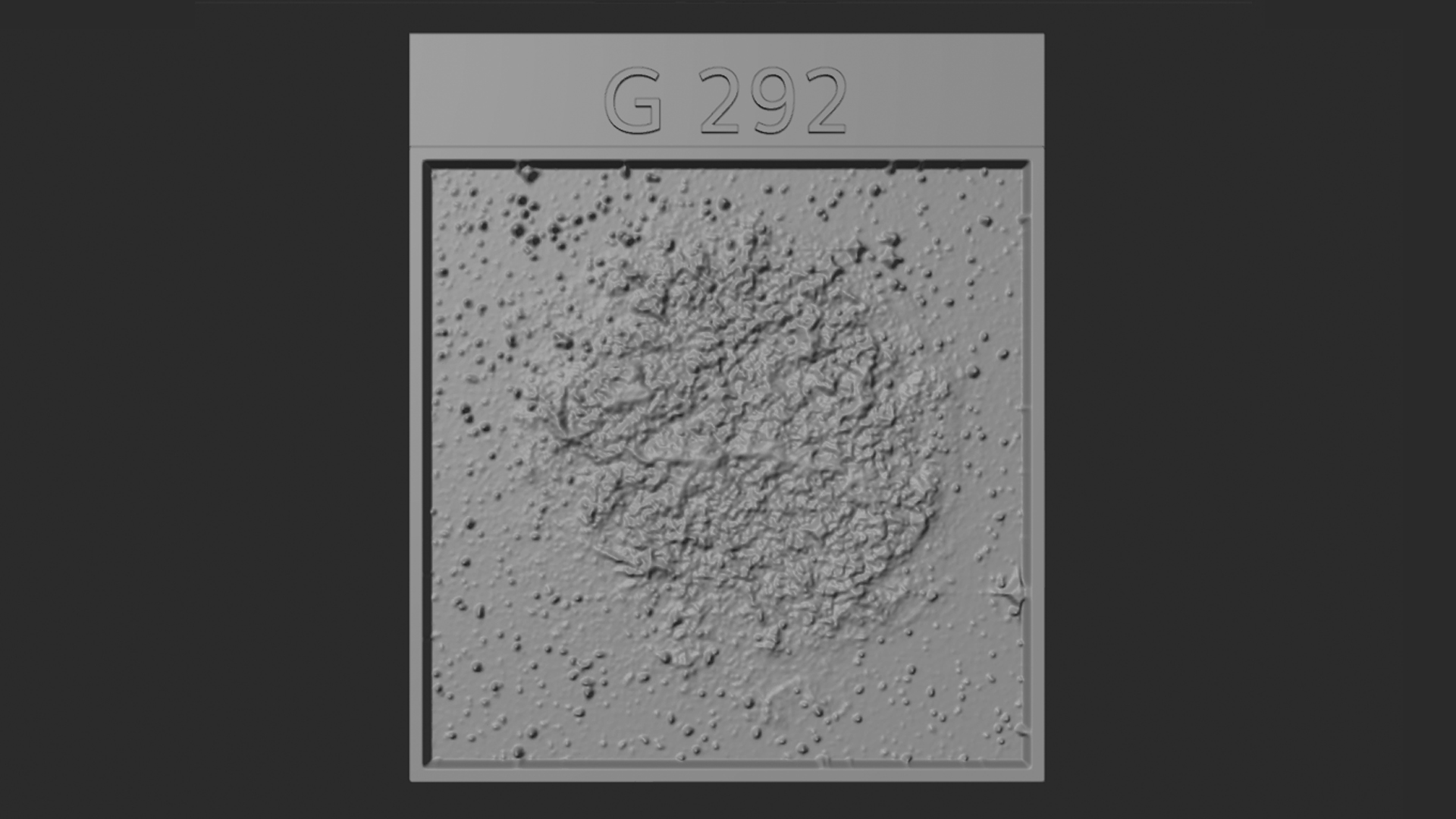 Plate of G292.0+1.8