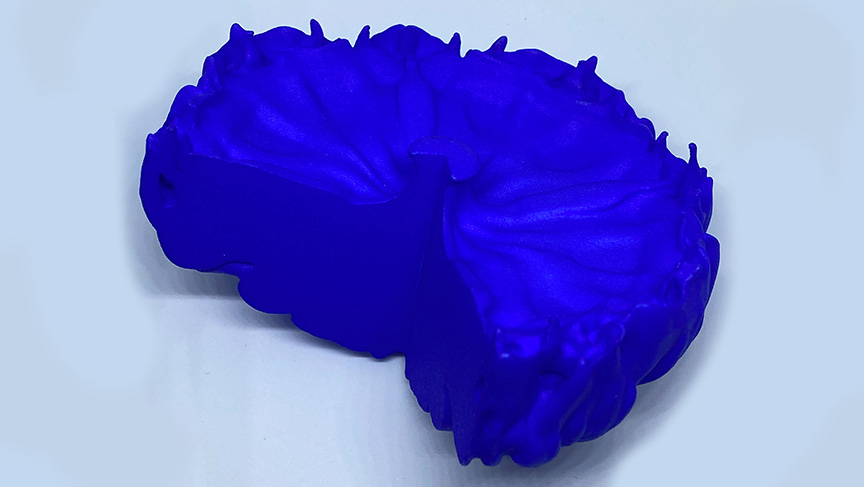 3D Model of Cygnus Loop