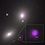 NASA's Hubble, Chandra Spot Rare Type of Black Hole Eating a Star