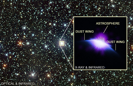 A labeled version of the main image that points out two dust wing features and the astrosphere.