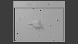 Click to enlarge image