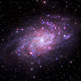 M33