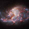NGC 1385