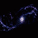 Click for large jpg