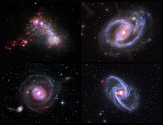 Chandra & Swift