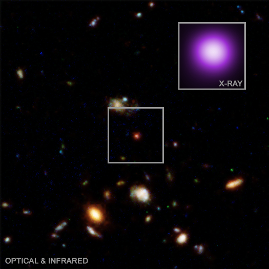 A composite image with an X-ray inset. The composite image shows the X-ray dot object and the surrounding area. The X-ray inset shows the object close up.