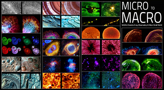 Image showing many of the micro to macro pairs that is labeled Micro to Macro NASA's Chandra X-ray Observatory and Nikon Small World.