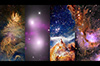 Tour: Cosmic Holiday Greetings From NASA's Chandra X-ray Observatory